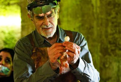 The Goldsmith looks at a stone