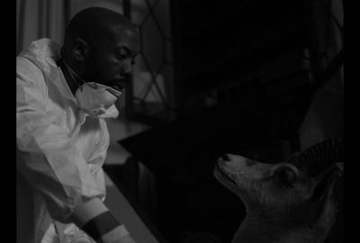 A worker looks at a gazelle head